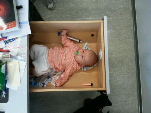 2012-04-30 11.25.42.jpg image