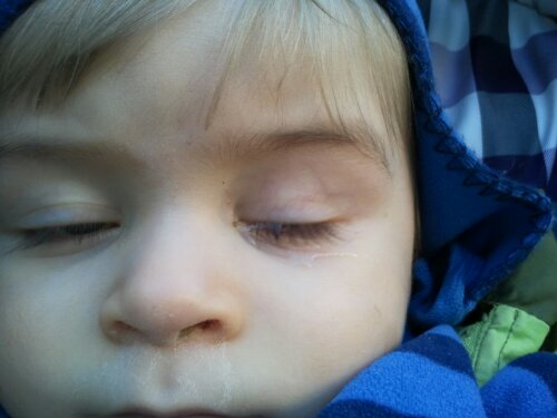 IMG_20130304_170813.jpg image