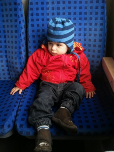 IMG_20130514_110312.jpg image